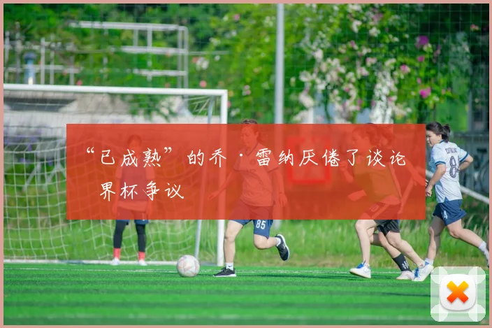 “已成熟”的乔·雷纳厌倦了谈论世界杯争议